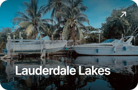 Palm trees along a lake in South Florida